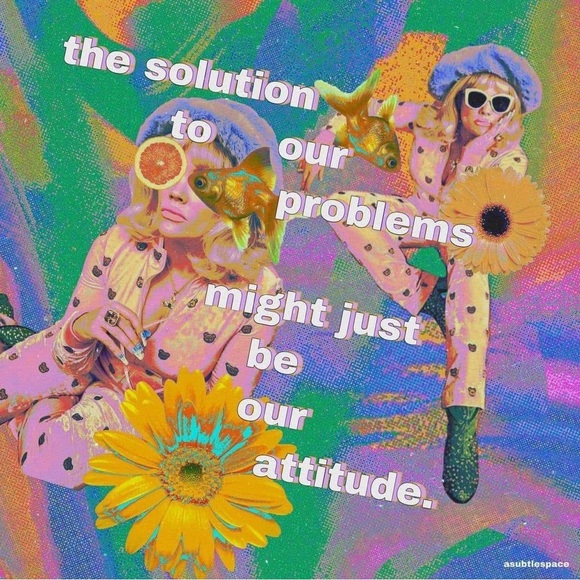 Meet your Posher, Rammy - Picture 8 of 8